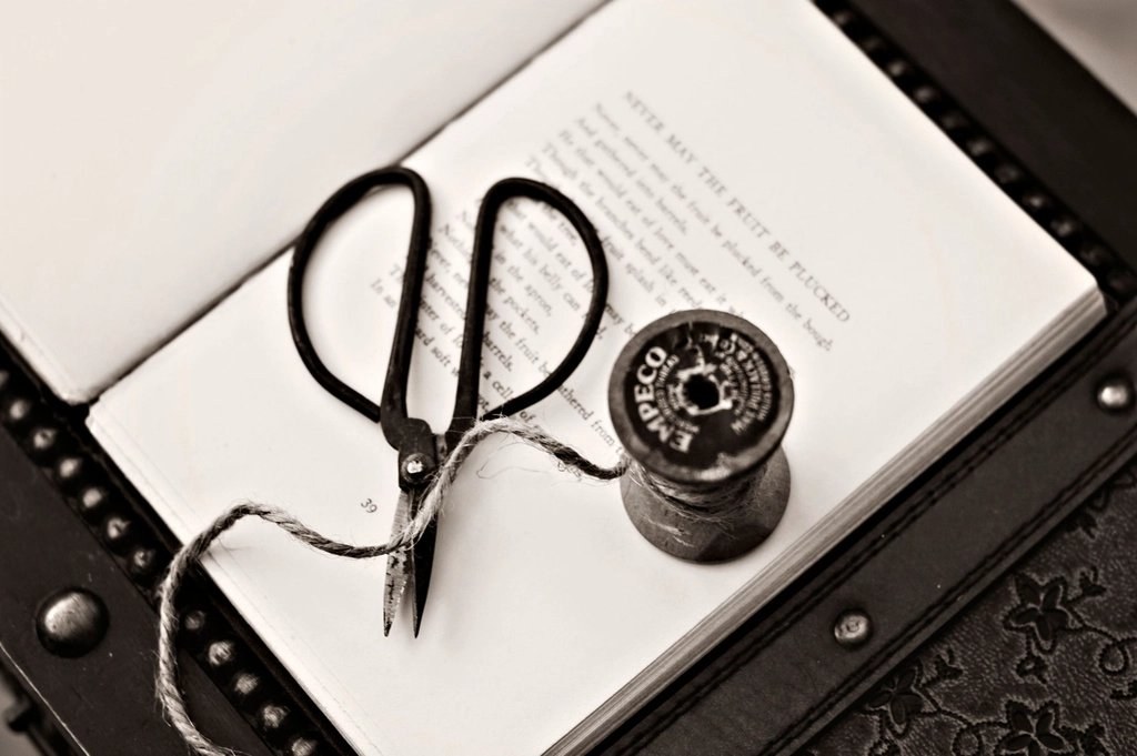 Vintage scissors and a spool of thread on a book